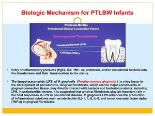  Entry of inflammatory products (PgE2, Il-6, TNF- α), endotoxin, and/or periodontal bacteria into
the bloodstream and their translocation to the uterus.
 The lipopolysaccharide (LPS) of P. gingivalis (Porphyromonas gingivalis ) is a key factor in
the development of periodontitis. Gingival fibroblasts, which are the major constituents of
gingival connective tissue, may directly interact with bacteria and bacterial products, including
LPS, in periodontitis lesions. It is suggested that gingival fibroblasts play an important role in
the host responses to LPS in periodontal disease. P. gingivalis LPS enhances the production
of inflammatory cytokines such as interleukin (IL)-1, IL-6, IL-8, and tumor necrosis factor alpha
(TNF-α) in gingival fibroblasts.
Biologic Mechanism for PTLBW Infants
 