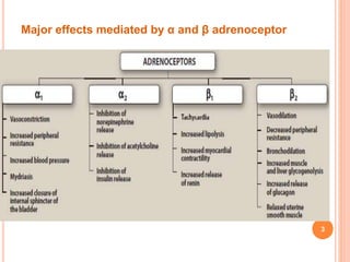 Major effects mediated by α and β adrenoceptor
3
 
