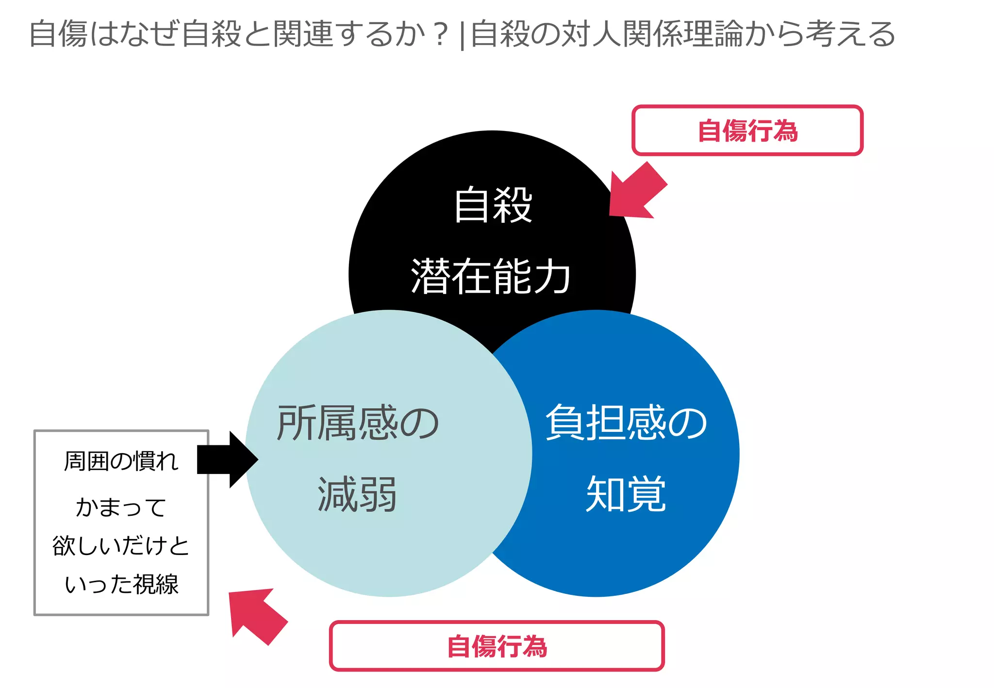自殺の対人関係理論 自殺自傷患者治療マニュアル 自殺の対人関係理論