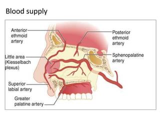 Blood supply
 