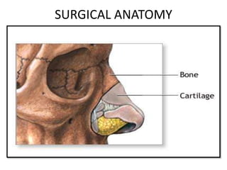 SURGICAL ANATOMY
 