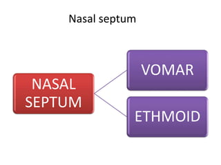 NASAL
SEPTUM
VOMAR
ETHMOID
Nasal septum
 
