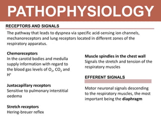 PATHOPHYSIOLOGY
The pathway that leads to dyspnea via specific acid-sensing ion channels,
mechanoreceptors and lung receptors located in different zones of the
respiratory apparatus.
RECEPTORS AND SIGNALS
Chemoreceptors
In the carotid bodies and medulla
supply information with regard to
the blood gas levels of O2, CO2 and
H+
Juxtacapillary receptors
Sensitive to pulmonary interstitial
oedema
Stretch receptors
Hering-breuer reflex
Muscle spindles in the chest wall
Signals the stretch and tension of the
respiratory muscles
Motor neuronal signals descending
to the respiratory muscles, the most
important being the diaphragm
EFFERENT SIGNALS
 