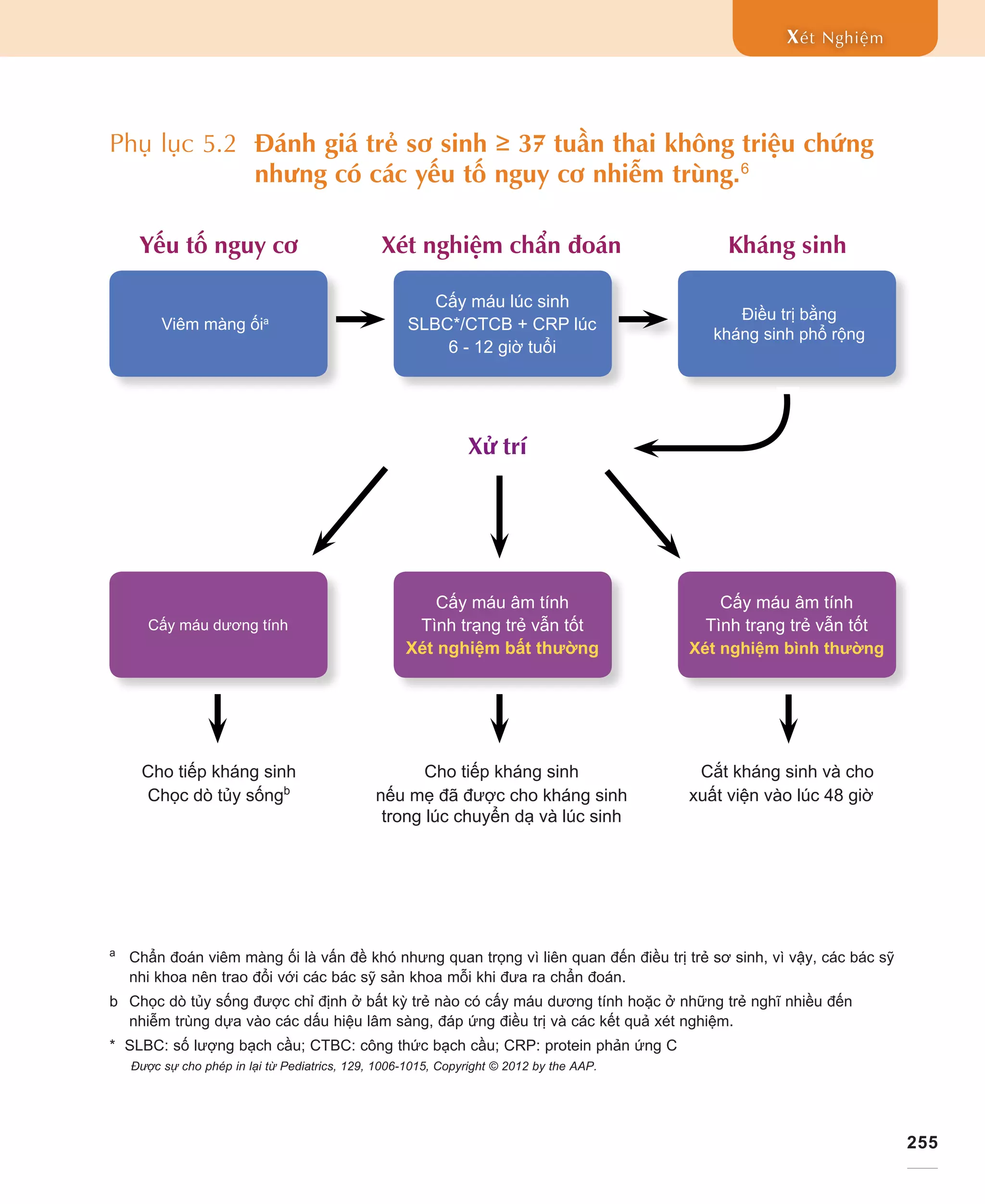 255
Xét Nghiệm
Phụ lục 5.2 Đánh giá trẻ sơ sinh ≥ 37 tuần thai không triệu chứng
nhưng có các yếu tố nguy cơ nhiễm trùng.6
a
	 Chẩn đoán viêm màng ối là vấn đề khó nhưng quan trọng vì liên quan đến điều trị trẻ sơ sinh, vì vậy, các bác sỹ
nhi khoa nên trao đổi với các bác sỹ sản khoa mỗi khi đưa ra chẩn đoán.
b	 Chọc dò tủy sống được chỉ định ở bất kỳ trẻ nào có cấy máu dương tính hoặc ở những trẻ nghĩ nhiều đến
nhiễm trùng dựa vào các dấu hiệu lâm sàng, đáp ứng điều trị và các kết quả xét nghiệm.
* SLBC: số lượng bạch cầu; CTBC: công thức bạch cầu; CRP: protein phản ứng C
	 Được sự cho phép in lại từ Pediatrics, 129, 1006-1015, Copyright © 2012 by the AAP.
Viêm màng ốia
Cấy máu lúc sinh
SLBC*/CTCB + CRP lúc
6 - 12 giờ tuổi
Điều trị bằng
kháng sinh phổ rộng
Cấy máu dương tính
Cấy máu âm tính
Tình trạng trẻ vẫn tốt
Xét nghiệm bất thường
Cấy máu âm tính
Tình trạng trẻ vẫn tốt
Xét nghiệm bình thường
Xử trí
	 Yếu tố nguy cơ 	Xét nghiệm chẩn đoán 	 Kháng sinh
	 Cho tiếp kháng sinh	 Cho tiếp kháng sinh	 Cắt kháng sinh và cho
	 Chọc dò tủy sốngb
	 nếu mẹ đã được cho kháng sinh	 xuất viện vào lúc 48 giờ	
		 trong lúc chuyển dạ và lúc sinh
 