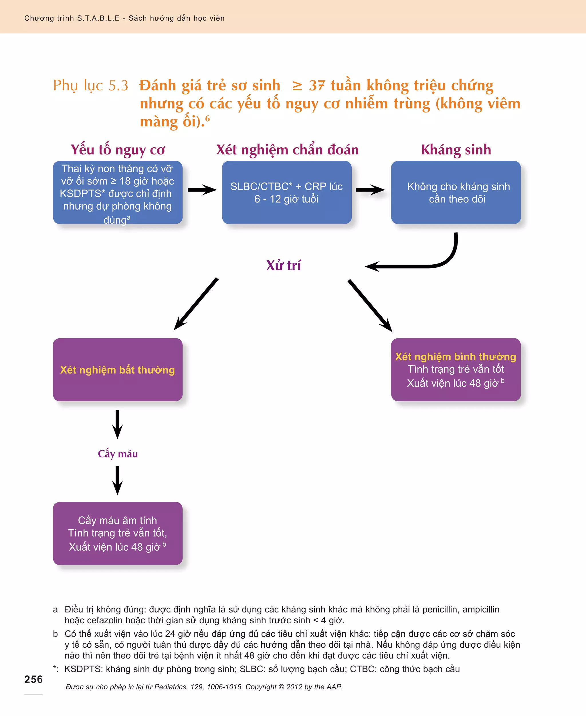 256
Chương trình S.T.A.B.L.E - Sách hướng dẫn học viên
Phụ lục 5.3 Đánh giá trẻ sơ sinh ≥ 37 tuần không triệu chứng
nhưng có các yếu tố nguy cơ nhiễm trùng (không viêm
màng ối).6
a	 Điều trị không đúng: được định nghĩa là sử dụng các kháng sinh khác mà không phải là penicillin, ampicillin
hoặc cefazolin hoặc thời gian sử dụng kháng sinh trước sinh  4 giờ.
b	 Có thể xuất viện vào lúc 24 giờ nếu đáp ứng đủ các tiêu chí xuất viện khác: tiếp cận được các cơ sở chăm sóc
y tế có sẵn, có người tuân thủ được đầy đủ các hướng dẫn theo dõi tại nhà. Nếu không đáp ứng được điều kiện
nào thì nên theo dõi trẻ tại bệnh viện ít nhất 48 giờ cho đến khi đạt được các tiêu chí xuất viện.
*: KSDPTS: kháng sinh dự phòng trong sinh; SLBC: số lượng bạch cầu; CTBC: công thức bạch cầu
	 Được sự cho phép in lại từ Pediatrics, 129, 1006-1015, Copyright © 2012 by the AAP.
Thai kỳ non tháng có vỡ
vỡ ối sớm ≥ 18 giờ hoặc
KSDPTS* được chỉ định
nhưng dự phòng không
đúnga
SLBC/CTBC* + CRP lúc
6 - 12 giờ tuổi
Không cho kháng sinh
cần theo dõi
Xét nghiệm bất thường
Cấy máu âm tính
Tình trạng trẻ vẫn tốt,
Xuất viện lúc 48 giờ b
Xét nghiệm bình thường
Tình trạng trẻ vẫn tốt
Xuất viện lúc 48 giờ b
Xử trí
	 Yếu tố nguy cơ 	Xét nghiệm chẩn đoán 	 Kháng sinh
	 Cấy máu		
 