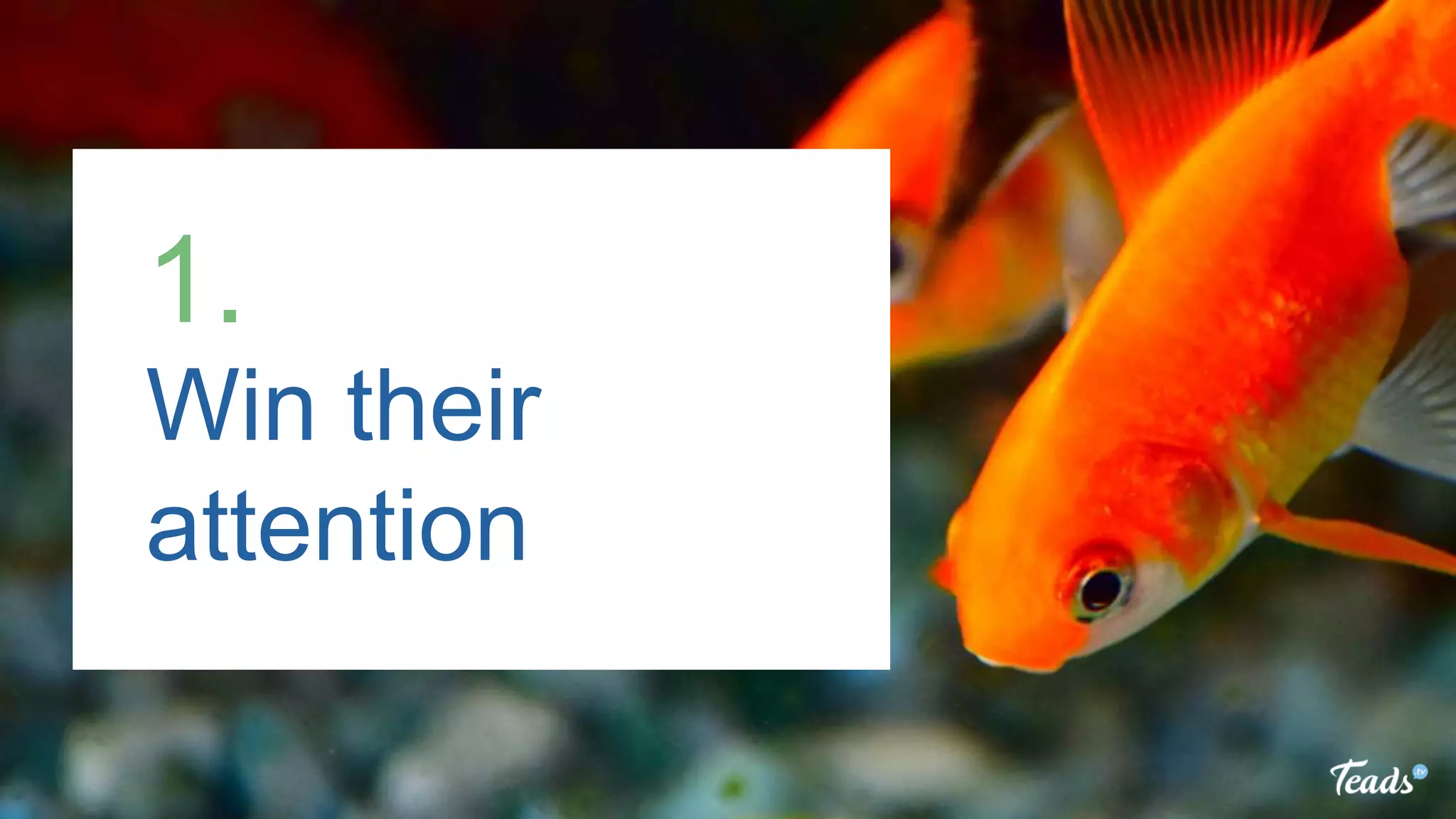 Win their
attention
1.
 