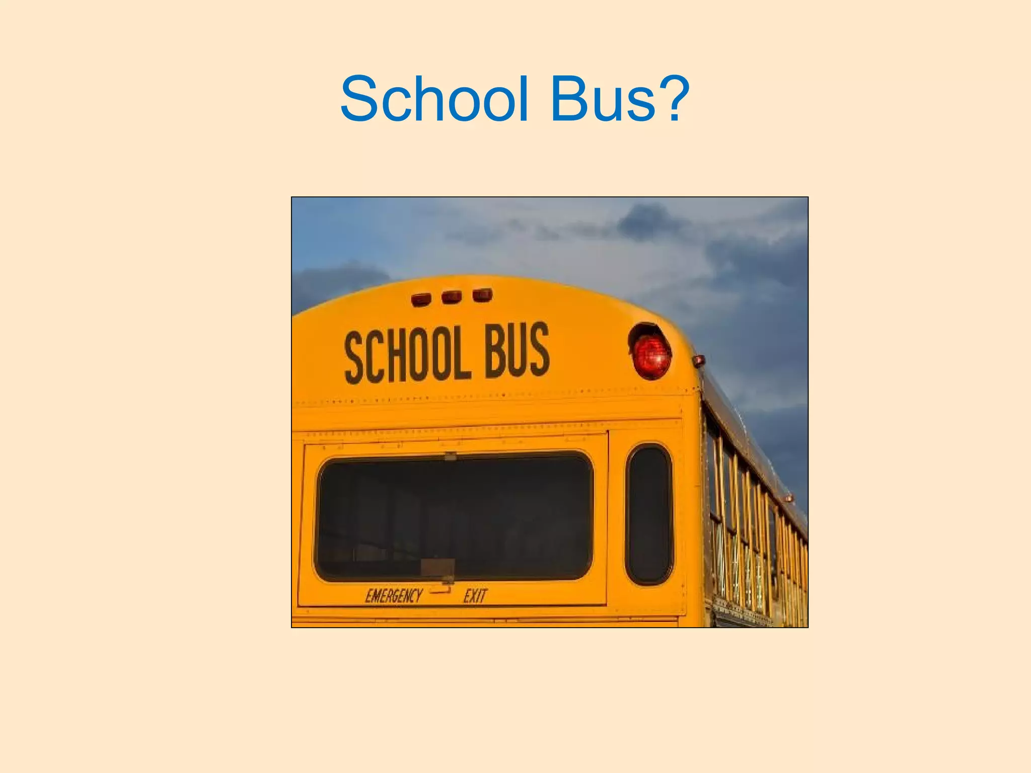 School Bus?
 