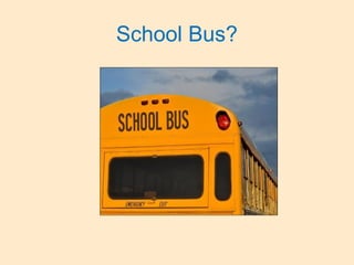 School Bus?
 