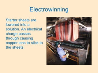 Electrowinning
Starter sheets are
lowered into a
solution. An electrical
charge passes
through causing
copper ions to stick to
the sheets.
 