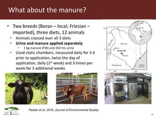 Opportunities for LED in agriculture in East Africa: a regional perspective