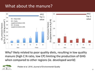 Opportunities for LED in agriculture in East Africa: a regional perspective