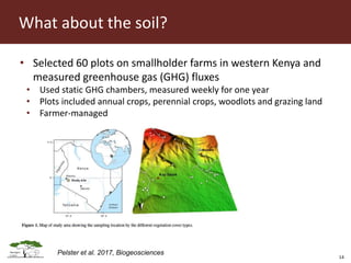 Opportunities for LED in agriculture in East Africa: a regional perspective