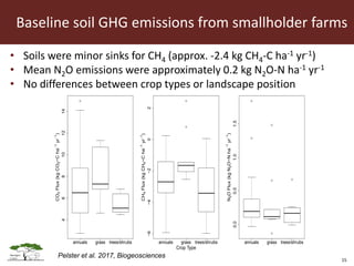 Opportunities for LED in agriculture in East Africa: a regional perspective