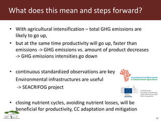 Opportunities for LED in agriculture in East Africa: a regional perspective