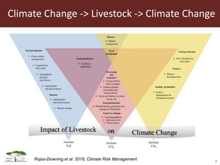Opportunities for LED in agriculture in East Africa: a regional perspective