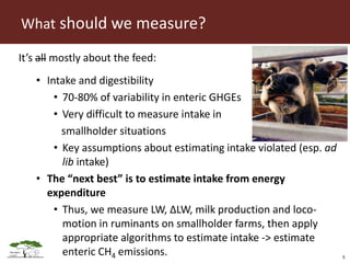 Opportunities for LED in agriculture in East Africa: a regional perspective