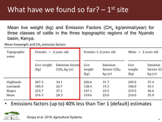 Opportunities for LED in agriculture in East Africa: a regional perspective