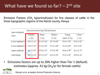 Opportunities for LED in agriculture in East Africa: a regional perspective