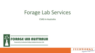 Forage Lab Services
CVAS in Australia
 