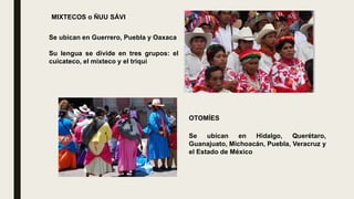 MIXTECOS o ÑUU SÁVI
Se ubican en Guerrero, Puebla y Oaxaca
Su lengua se divide en tres grupos: el
cuicateco, el mixteco y el triqui
OTOMÍES
Se ubican en Hidalgo, Querétaro,
Guanajuato, Michoacán, Puebla, Veracruz y
el Estado de México
 