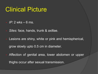 Clinical Picture
• IP: 2 wks – 6 ms.
• Sites: face, hands, trunk & axillae.
• Lesions are shiny, white or pink and hemispherical,
grow slowly upto 0.5 cm in diameter.
• Affection of genital area, lower abdomen or upper
thighs occur after sexual transmission.
 