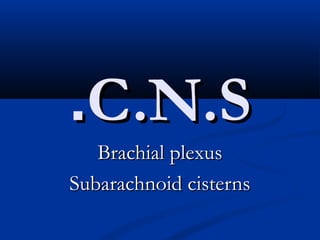 C.N.SC.N.S..
Brachial plexusBrachial plexus
Subarachnoid cisternsSubarachnoid cisterns
 