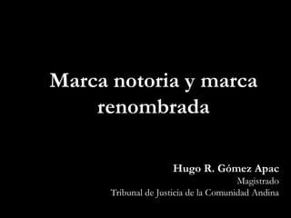 Hugo R. Gómez Apac
Magistrado
Tribunal de Justicia de la Comunidad Andina
Marca notoria y marca
renombrada
 
