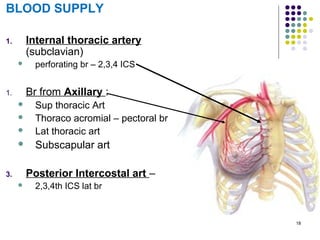 18
BLOOD SUPPLY
1. Internal thoracic artery
(subclavian)
 perforating br – 2,3,4 ICS
1. Br from Axillary :
 Sup thoracic Art
 Thoraco acromial – pectoral br
 Lat thoracic art
 Subscapular art
3. Posterior Intercostal art –
 2,3,4th ICS lat br
 