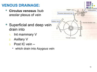 19
VENOUS DRAINAGE:
 Circulus venosus /sub
areolar plexus of vein
 Superficial and deep vein
drain into
1. Int mammary V
2. Axillary V
3. Post IC vein –
 which drain into Azygous vein
 