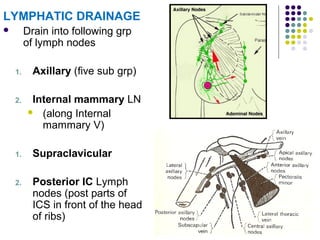 21
LYMPHATIC DRAINAGE
 Drain into following grp
of lymph nodes
1. Axillary (five sub grp)
2. Internal mammary LN
 (along Internal
mammary V)
1. Supraclavicular
2. Posterior IC Lymph
nodes (post parts of
ICS in front of the head
of ribs)
 