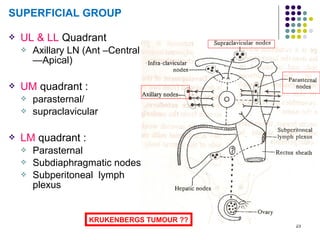 23
SUPERFICIAL GROUP
 UL & LL Quadrant
 Axillary LN (Ant –Central
—Apical)
 UM quadrant :
 parasternal/
 supraclavicular
 LM quadrant :
 Parasternal
 Subdiaphragmatic nodes
 Subperitoneal lymph
plexus
KRUKENBERGS TUMOUR ??
 
