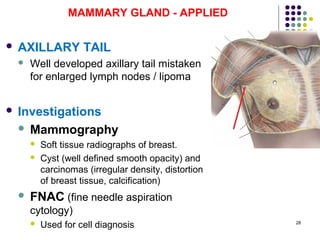 28
MAMMARY GLAND - APPLIED
 AXILLARY TAIL
 Well developed axillary tail mistaken
for enlarged lymph nodes / lipoma
 Investigations
 Mammography
 Soft tissue radiographs of breast.
 Cyst (well defined smooth opacity) and
carcinomas (irregular density, distortion
of breast tissue, calcification)
 FNAC (fine needle aspiration
cytology)
 Used for cell diagnosis
 