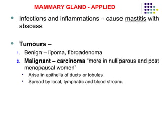 31
MAMMARY GLAND - APPLIED
 Infections and inflammations – cause mastitis with
abscess
 Tumours –
1. Benign – lipoma, fibroadenoma
2. Malignant – carcinoma “more in nulliparous and post
menopausal women”
 Arise in epithelia of ducts or lobules
 Spread by local, lymphatic and blood stream.
 