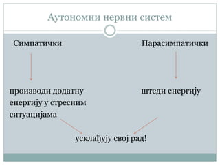 Periferni nervni sistem | PPT