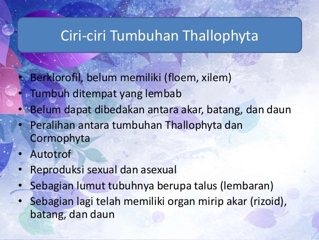Tumbuhan Thallophyta Dan Tracheophyta