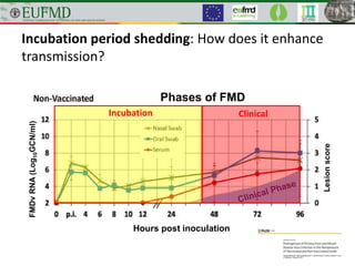 Phases of FMD
Lesionscore
FMDvRNA(Log10GCN/ml)
Hours post inoculation
Incubation period shedding: How does it enhance
transmission?
Incubation Clinical
 