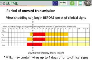 Period of onward transmission
Virus shedding can begin BEFORE onset of clinical signs
Day 0 is the first day of oral lesions
*Milk: may contain virus up to 4 days prior to clinical signs
Virus excretion: range and highest excretion periods relative to appearance of first lesions
Day of
first
lesions
-8 -7 -6 -5 -4 -3 -2 -1 0 1 2 3 4 5 6 7 8 9 10 11 12 13 14 15
Pigs
Cattle
Sheep
 