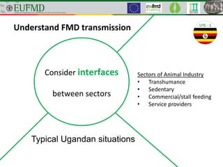 Understand FMD transmission
Typical Ugandan situations
Sectors of Animal Industry
• Transhumance
• Sedentary
• Commercial/stall feeding
• Service providers
Consider interfaces
between sectors
 