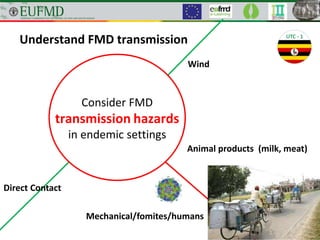 Understand FMD transmission
Consider FMD
transmission hazards
in endemic settings
Animal products (milk, meat)
Direct Contact
Wind
Mechanical/fomites/humans
 