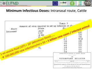 Minimum Infectious Doses: Intranasal route, Cattle
 