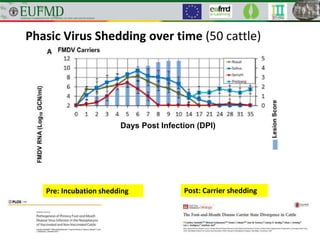Phasic Virus Shedding over time (50 cattle)
Hours Post Infection (HPI)
Days Post Infection (DPI)
Pre: Incubation shedding Post: Carrier shedding
 