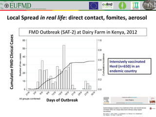 Local Spread in real life: direct contact, fomites, aerosol
FMD Outbreak (SAT-2) at Dairy Farm in Kenya, 2012
CumulativeFMDClinicalCases
Intensively vaccinated
Herd (n=650) in an
endemic country
Days of Outbreak
 