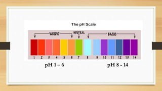 6 1 Properties Of Acid And Alkali