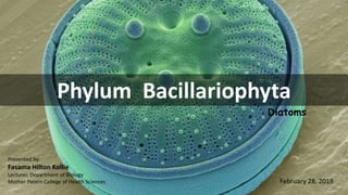 Phylum Bacillariophyta
Diatoms
Presented by:
Fasama Hilton Kollie
Lecturer, Department of Biology
Mother Patern College of Health Sciences February 28, 2019
 