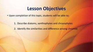 Lesson Objectives
• Upon completion of this topic, students will be able to;
1. Describe diatoms, xanthophytes and chrysop...