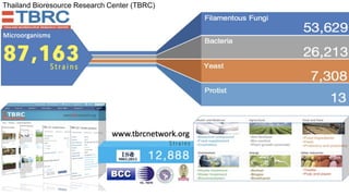 Microorganisms
Thailand Bioresource Research Center (TBRC)
 