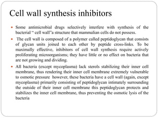 Cell wall synthesis inhibitors
 Some antimicrobial drugs selectively interfere with synthesis of the
bacterial “ cell wall”a structure that mammalian cells do not possess.
 The cell wall is composed of a polymer called peptidoglycan that consists
of glycan units joined to each other by peptide cross-links. To be
maximally effective, inhibitors of cell wall synthesis require actively
proliferating microorganisms; they have little or no effect on bacteria that
are not growing and dividing.
 All bacteria (except mycoplasma) lack sterols stabilizing their inner cell
membrane, thus rendering their inner cell membrane extremely vulnerable
to osmotic pressure however, these bacteria have a cell wall (again, except
mycoplasma) primarily consisting of peptidoglycan intimately surrounding
the outside of their inner cell membrane this peptidoglycan protects and
stabilizes the inner cell membrane, thus preventing the osmotic lysis of the
bacteria
 
