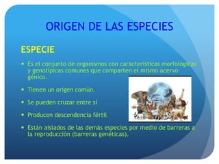 ORIGEN DE LAS ESPECIES
ESPECIE
 Es el conjunto de organismos con características morfológicas
y genotípicas comunes que comparten el mismo acervo
génico.
 Tienen un origen común.
 Se pueden cruzar entre sí
 Producen descendencia fértil
 Están aislados de las demás especies por medio de barreras a
la reproducción (barreras genéticas).
 