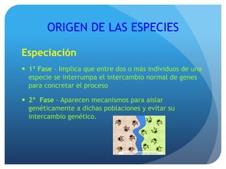 ORIGEN DE LAS ESPECIES
Especiación
 1ª Fase - Implica que entre dos o más individuos de una
especie se interrumpa el intercambio normal de genes
para concretar el proceso
 2ª Fase - Aparecen mecanismos para aislar
genéticamente a dichas poblaciones y evitar su
intercambio genético.
 
