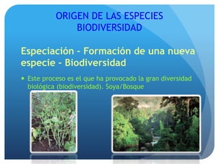 ORIGEN DE LAS ESPECIES
BIODIVERSIDAD
Especiación – Formación de una nueva
especie - Biodiversidad
 Este proceso es el que ha provocado la gran diversidad
biológica (biodiversidad). Soya/Bosque
 